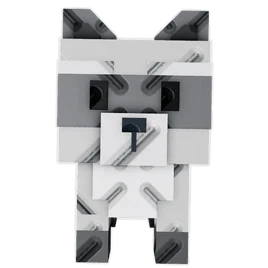 Raccoon