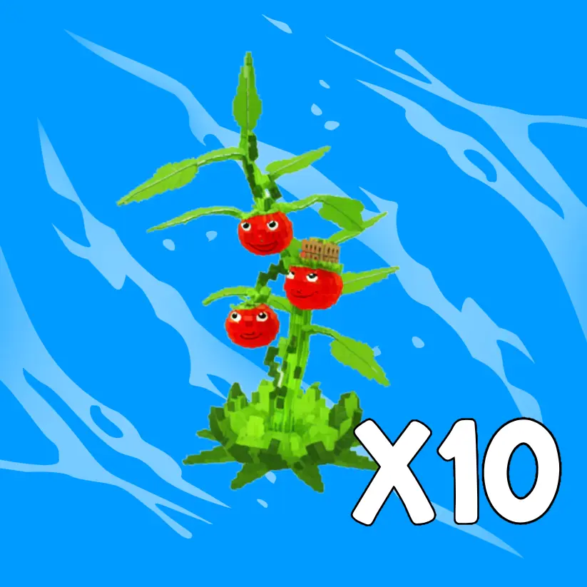 x10 Tomatrio Bundle